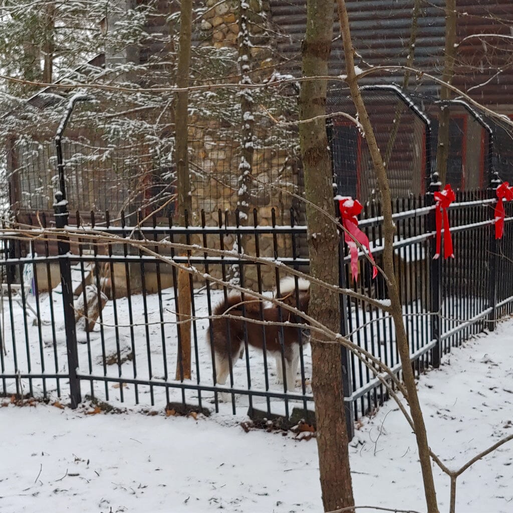 Curved Fence Extender for Dogs