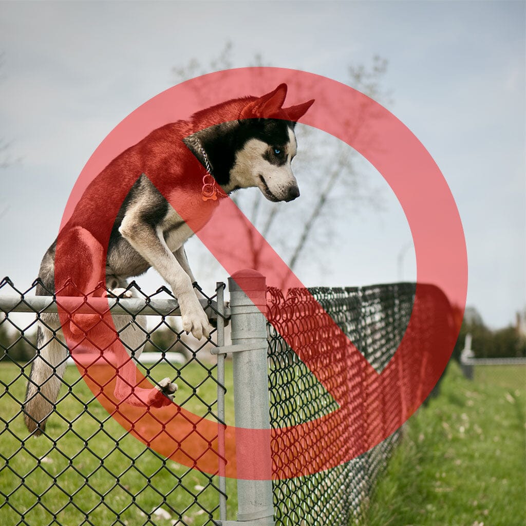 Curved Fence Extender for Dogs