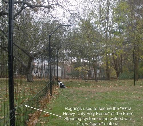 Hog Ringer & 2,500 Hog Rings