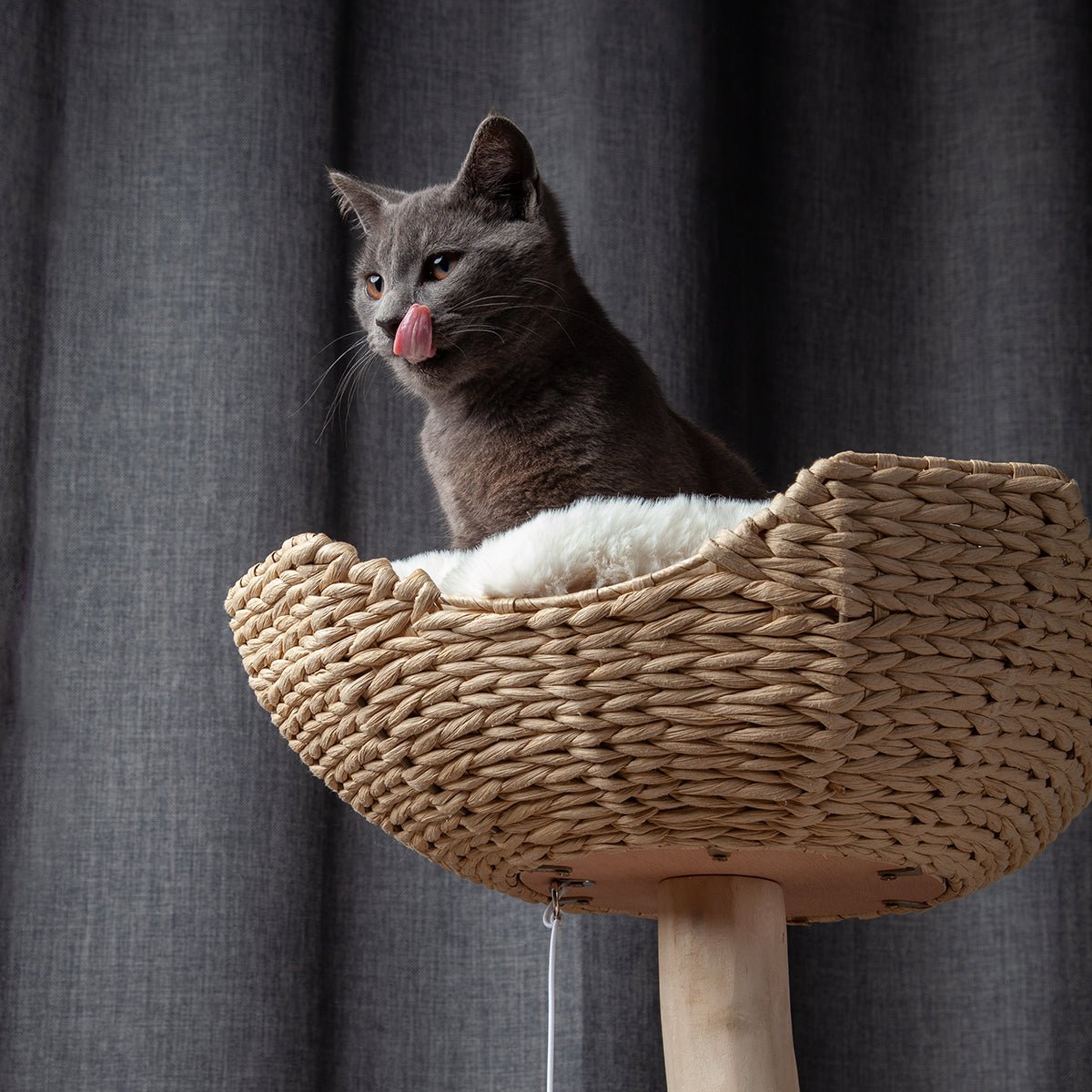 Bungalow Cat Tree