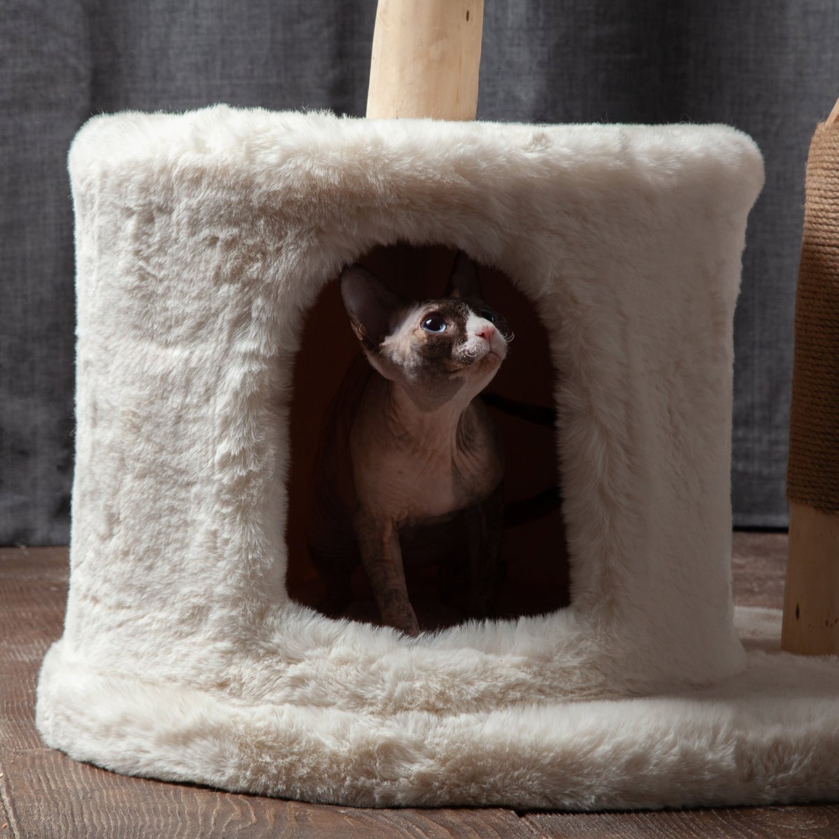 Bungalow Cat Tree