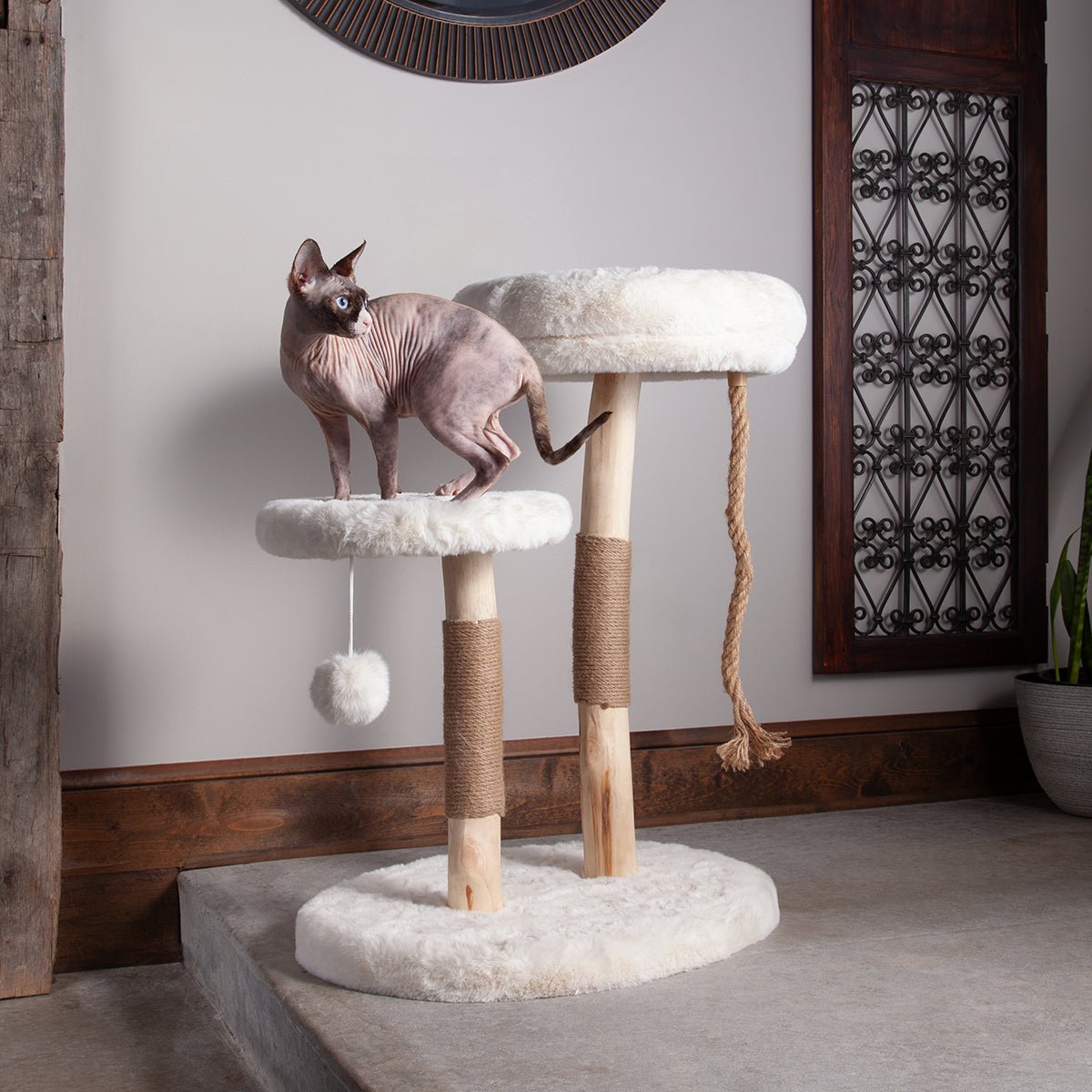 Oasis Cat Tree