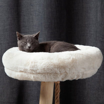 Oasis Cat Tree