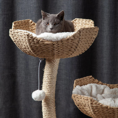 Sanctuary Cat Tree