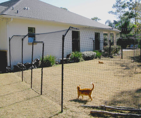Freestanding Cat Fence System